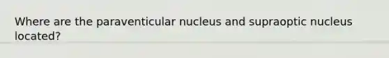 Where are the paraventicular nucleus and supraoptic nucleus located?