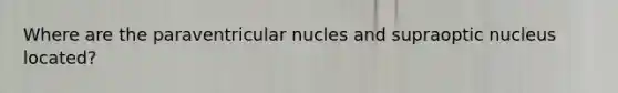 Where are the paraventricular nucles and supraoptic nucleus located?