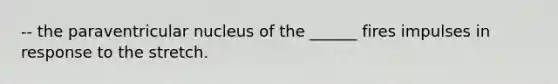 -- the paraventricular nucleus of the ______ fires impulses in response to the stretch.