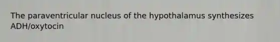 The paraventricular nucleus of the hypothalamus synthesizes ADH/oxytocin