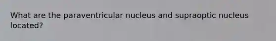 What are the paraventricular nucleus and supraoptic nucleus located?