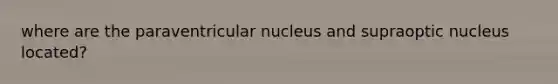 where are the paraventricular nucleus and supraoptic nucleus located?