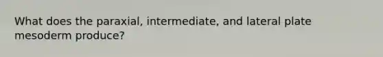 What does the paraxial, intermediate, and lateral plate mesoderm produce?