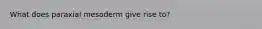 What does paraxial mesoderm give rise to?