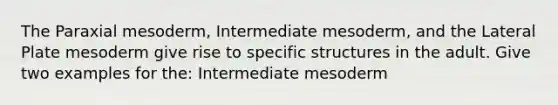 The Paraxial mesoderm, Intermediate mesoderm, and the Lateral Plate mesoderm give rise to specific structures in the adult. Give two examples for the: Intermediate mesoderm