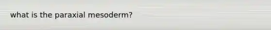 what is the paraxial mesoderm?