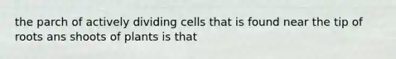 the parch of actively dividing cells that is found near the tip of roots ans shoots of plants is that