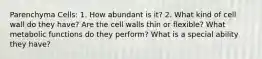 Parenchyma Cells: 1. How abundant is it? 2. What kind of cell wall do they have? Are the cell walls thin or flexible? What metabolic functions do they perform? What is a special ability they have?