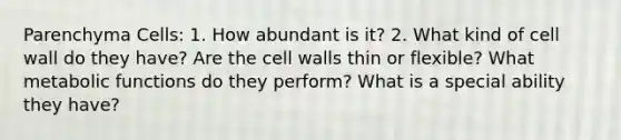 Parenchyma Cells: 1. How abundant is it? 2. What kind of cell wall do they have? Are the cell walls thin or flexible? What metabolic functions do they perform? What is a special ability they have?