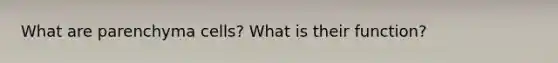 What are parenchyma cells? What is their function?