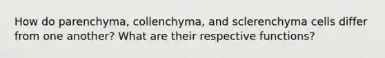 How do parenchyma, collenchyma, and sclerenchyma cells differ from one another? What are their respective functions?