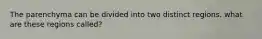 The parenchyma can be divided into two distinct regions. what are these regions called?