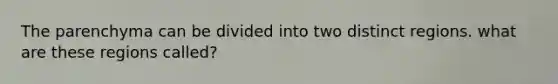 The parenchyma can be divided into two distinct regions. what are these regions called?