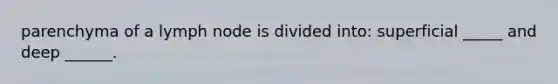 parenchyma of a lymph node is divided into: superficial _____ and deep ______.