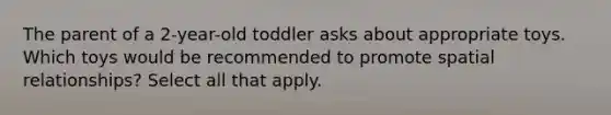 The parent of a 2-year-old toddler asks about appropriate toys. Which toys would be recommended to promote spatial relationships? Select all that apply.