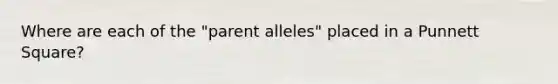 Where are each of the "parent alleles" placed in a Punnett Square?