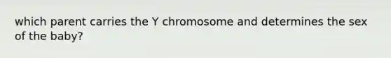 which parent carries the Y chromosome and determines the sex of the baby?