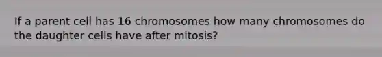 If a parent cell has 16 chromosomes how many chromosomes do the daughter cells have after mitosis?