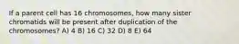 If a parent cell has 16 chromosomes, how many sister chromatids will be present after duplication of the chromosomes? A) 4 B) 16 C) 32 D) 8 E) 64