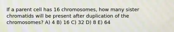 If a parent cell has 16 chromosomes, how many sister chromatids will be present after duplication of the chromosomes? A) 4 B) 16 C) 32 D) 8 E) 64