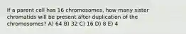 If a parent cell has 16 chromosomes, how many sister chromatids will be present after duplication of the chromosomes? A) 64 B) 32 C) 16 D) 8 E) 4