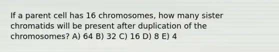 If a parent cell has 16 chromosomes, how many sister chromatids will be present after duplication of the chromosomes? A) 64 B) 32 C) 16 D) 8 E) 4