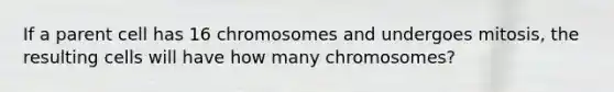 If a parent cell has 16 chromosomes and undergoes mitosis, the resulting cells will have how many chromosomes?