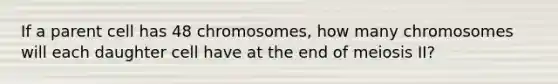 If a parent cell has 48 chromosomes, how many chromosomes will each daughter cell have at the end of meiosis II?