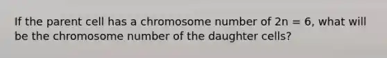 If the parent cell has a chromosome number of 2n = 6, what will be the chromosome number of the daughter cells?