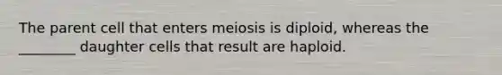 The parent cell that enters meiosis is diploid, whereas the ________ daughter cells that result are haploid.