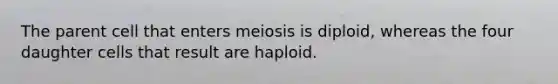 The parent cell that enters meiosis is diploid, whereas the four daughter cells that result are haploid.