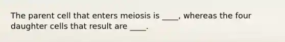 The parent cell that enters meiosis is ____, whereas the four daughter cells that result are ____.