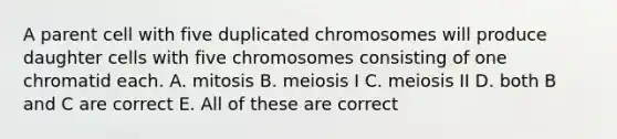 A parent cell with five duplicated chromosomes will produce daughter cells with five chromosomes consisting of one chromatid each. A. mitosis B. meiosis I C. meiosis II D. both B and C are correct E. All of these are correct