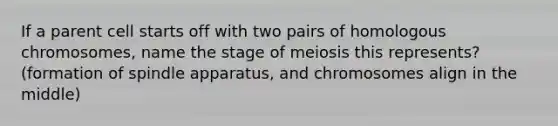 If a parent cell starts off with two pairs of homologous chromosomes, name the stage of meiosis this represents? (formation of spindle apparatus, and chromosomes align in the middle)