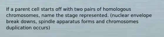 If a parent cell starts off with two pairs of homologous chromosomes, name the stage represented. (nuclear envelope break downs, spindle apparatus forms and chromosomes duplication occurs)