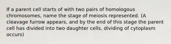 If a parent cell starts of with two pairs of homologous chromosomes, name the stage of meiosis represented. (A cleavage furrow appears, and by the end of this stage the parent cell has divided into two daughter cells, dividing of cytoplasm occurs)