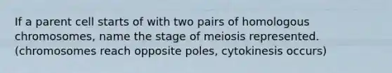 If a parent cell starts of with two pairs of homologous chromosomes, name the stage of meiosis represented. (chromosomes reach opposite poles, cytokinesis occurs)