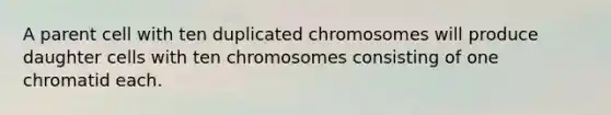 A parent cell with ten duplicated chromosomes will produce daughter cells with ten chromosomes consisting of one chromatid each.