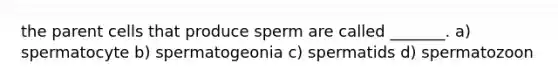 the parent cells that produce sperm are called _______. a) spermatocyte b) spermatogeonia c) spermatids d) spermatozoon