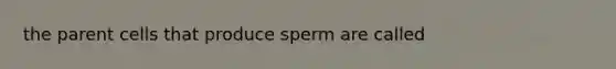 the parent cells that produce sperm are called