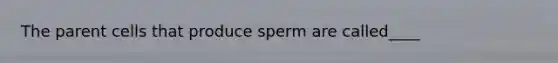 The parent cells that produce sperm are called____