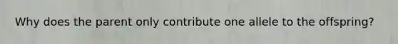 Why does the parent only contribute one allele to the offspring?