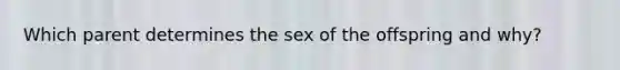 Which parent determines the sex of the offspring and why?