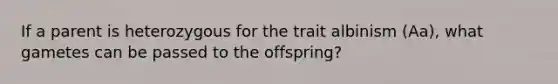 If a parent is heterozygous for the trait albinism (Aa), what gametes can be passed to the offspring?