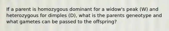 If a parent is homozygous dominant for a widow's peak (W) and heterozygous for dimples (D), what is the parents geneotype and what gametes can be passed to the offspring?