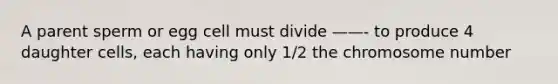 A parent sperm or egg cell must divide ——- to produce 4 daughter cells, each having only 1/2 the chromosome number