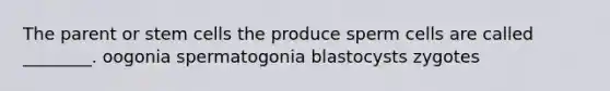 The parent or stem cells the produce sperm cells are called ________. oogonia spermatogonia blastocysts zygotes