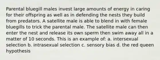 Parental bluegill males invest large amounts of energy in caring for their offspring as well as in defending the nests they build from predators. A satellite male is able to blend in with female bluegills to trick the parental male. The satellite male can then enter the nest and release its own sperm then swim away all in a matter of 10 seconds. This is an example of: a. intersexual selection b. intrasexual selection c. sensory bias d. the red queen hypothesis