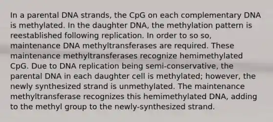 In a parental DNA strands, the CpG on each complementary DNA is methylated. In the daughter DNA, the methylation pattern is reestablished following replication. In order to so so, maintenance DNA methyltransferases are required. These maintenance methyltransferases recognize hemimethylated CpG. Due to DNA replication being semi-conservative, the parental DNA in each daughter cell is methylated; however, the newly synthesized strand is unmethylated. The maintenance methyltransferase recognizes this hemimethylated DNA, adding to the methyl group to the newly-synthesized strand.