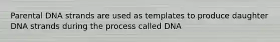 Parental DNA strands are used as templates to produce daughter DNA strands during the process called DNA